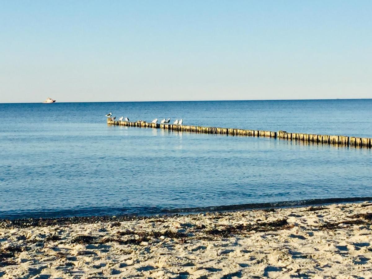 Aparthotel Waterkant Suites - Fewos Am Meer Mit Spa Börgerende-Rethwisch Buitenkant foto